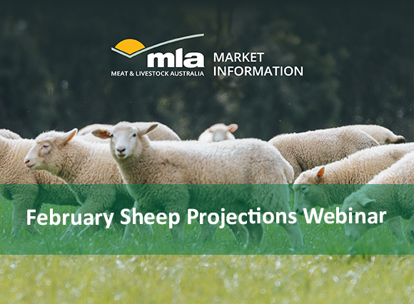 Sheep Projections | Meat & Livestock Australia