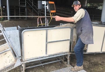 Fine-tuning flock management to reduce dag
