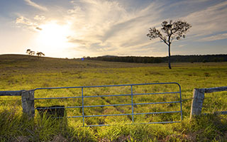 Setting up your goat property – video, factsheets, training