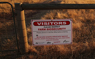 Producer obligations – traceability, biosecurity, welfare