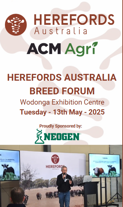 Job35825_2025 Wodonga Forum Image.png