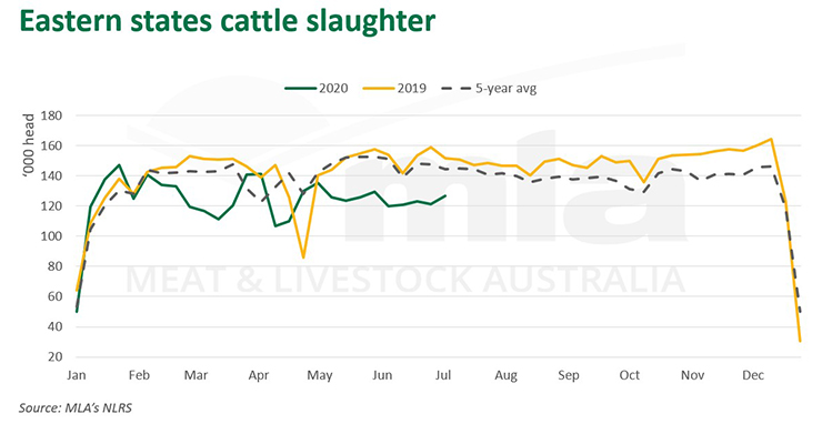 Eastern states cattle slaughter