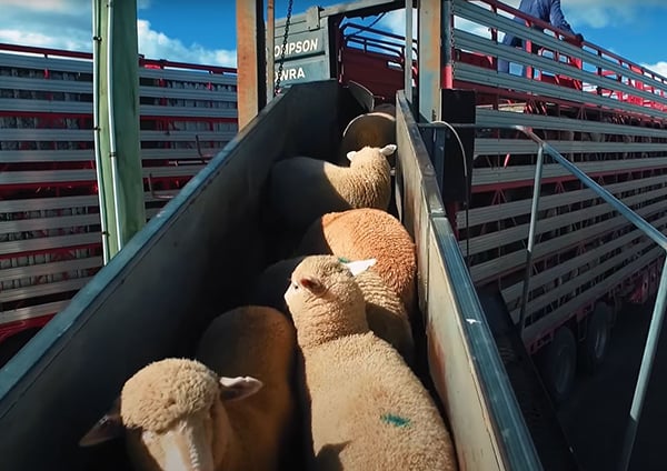 Fit to load video