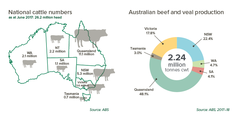 the-red-meat-industry-meat-livestock-australia