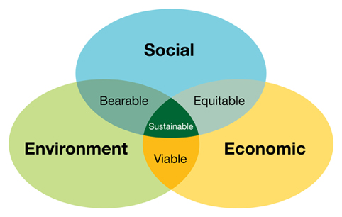 Dom fera bottom line перевод. The Triple bottom line. The Triple bottom line of sustainable Development. The Triple bottom line also known as the.