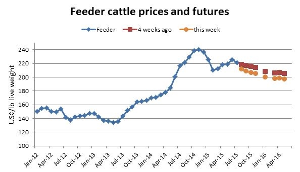 US-buyer-feeder-cattle.jpg