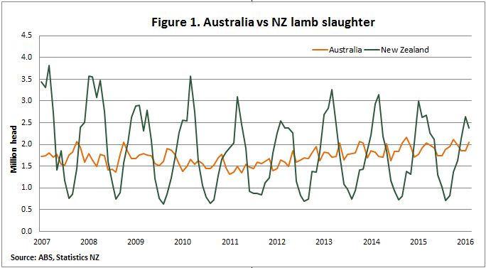 V2-05052016-Aust-v-NZ-lamb-slaughter.jpg