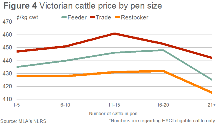 VIC-cattle-price-by-pen-size.bmp