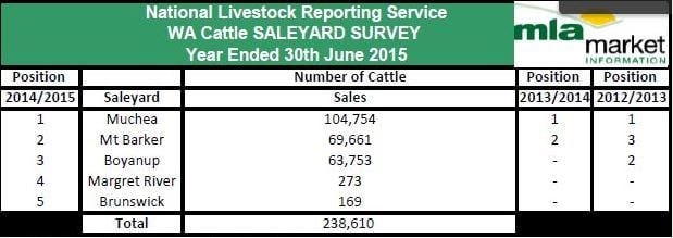 WA-saleyard-survey-cattle