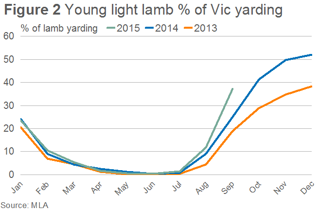 Young-light-lamb-Vic-yarding.bmp