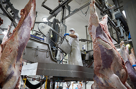 2023: A year in review of NLRS slaughter | Meat & Livestock Australia