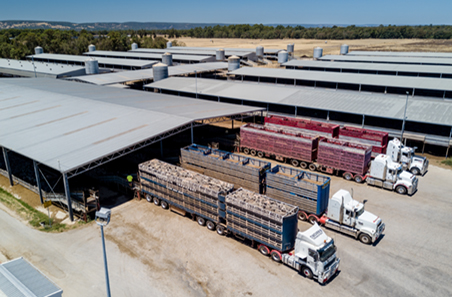 Transport Hub One Year On