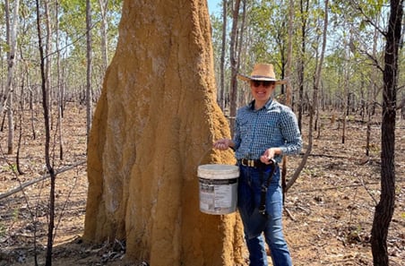 Putting the (soil) P in productivity