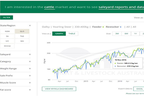 Mla Cattle Prices Casino