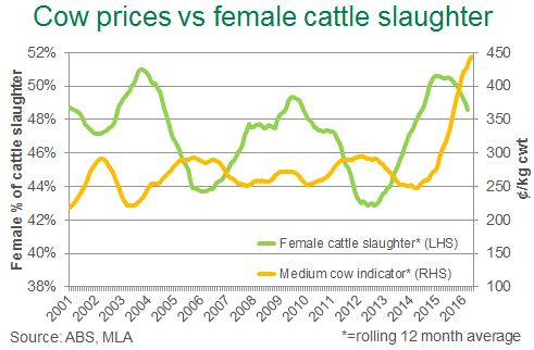 18052016-cow-slaughter-price.jpg