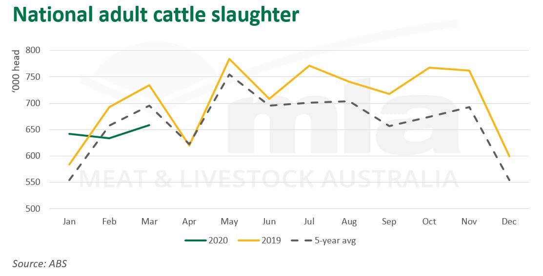 abs cattle slaughter-140520.jpg