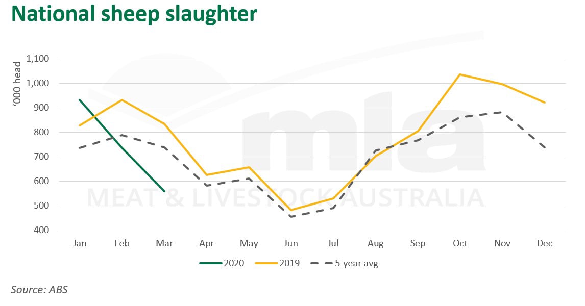 abs sheep slaughter-140520.jpg