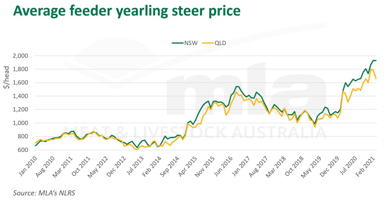 feeder cattle prices jan 2016