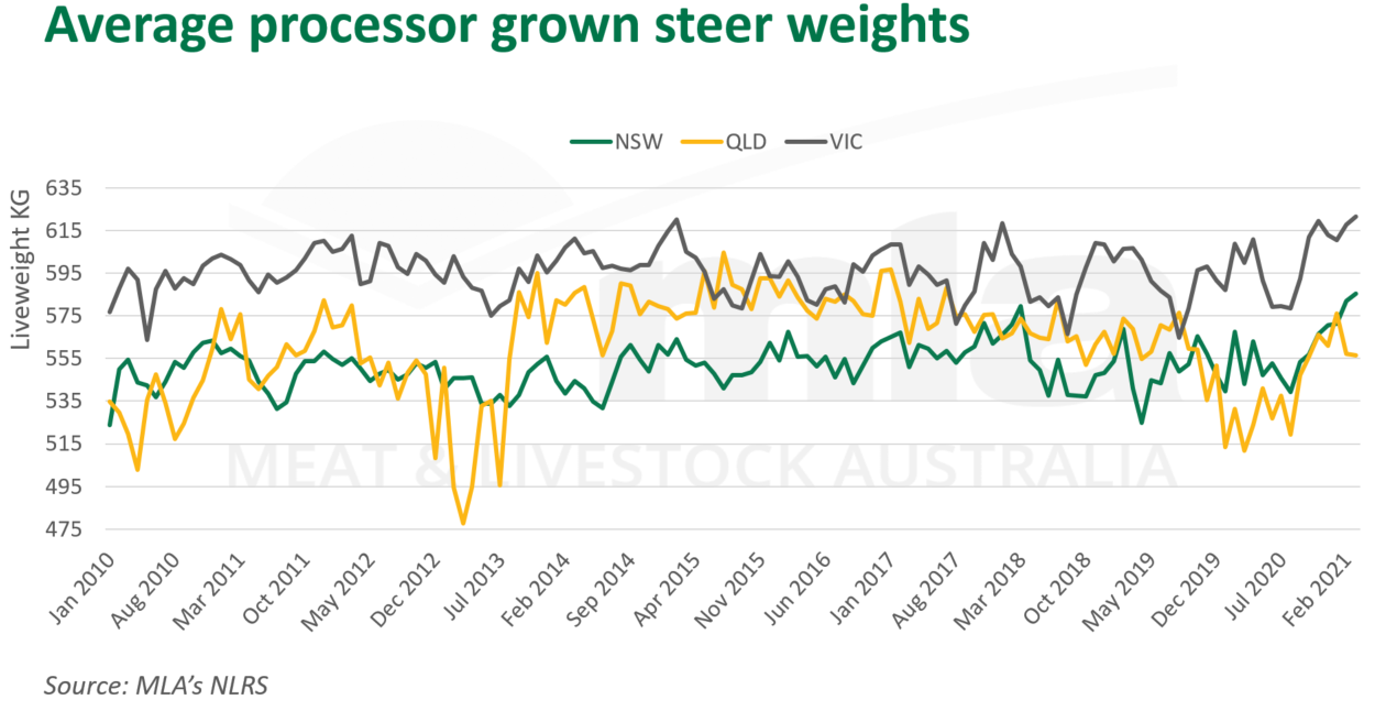 Ave-processor-steer-weights-250321.png