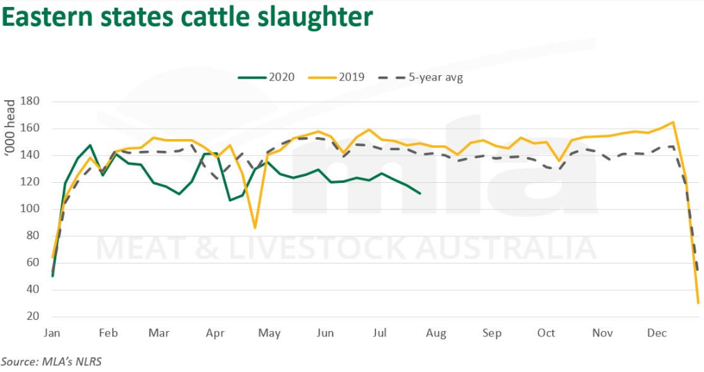 East-cattle-slaughter-300720.png