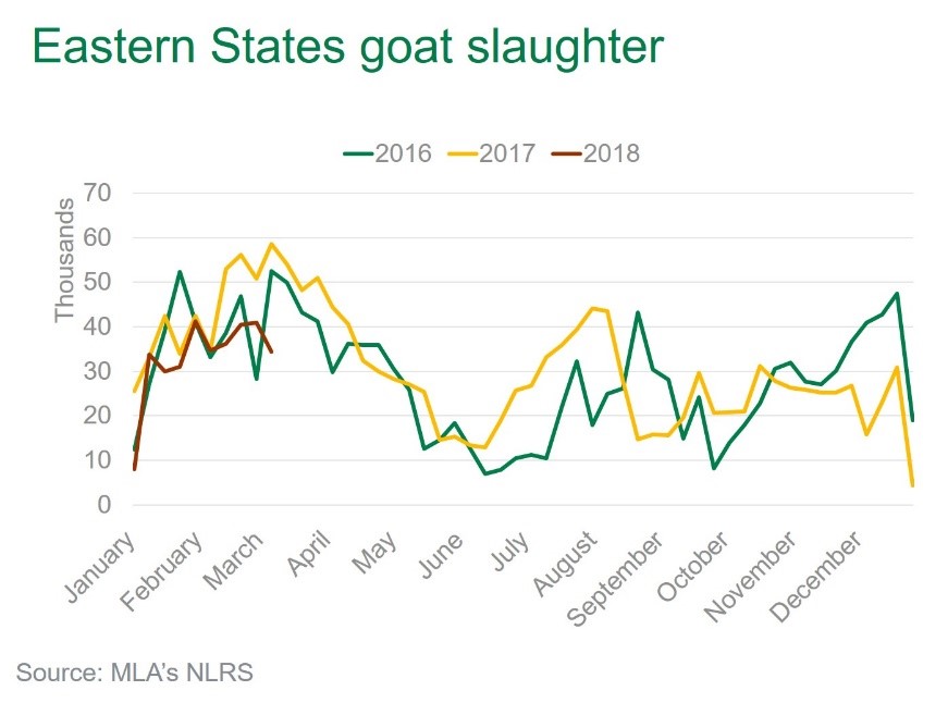 Eastern States goat slaughter