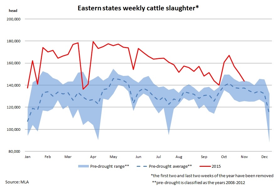 ES-weekly-cattle-kill-Nov-15.jpg