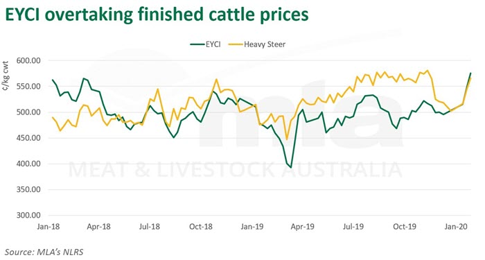EYCI-cattle-prices-300120.jpg