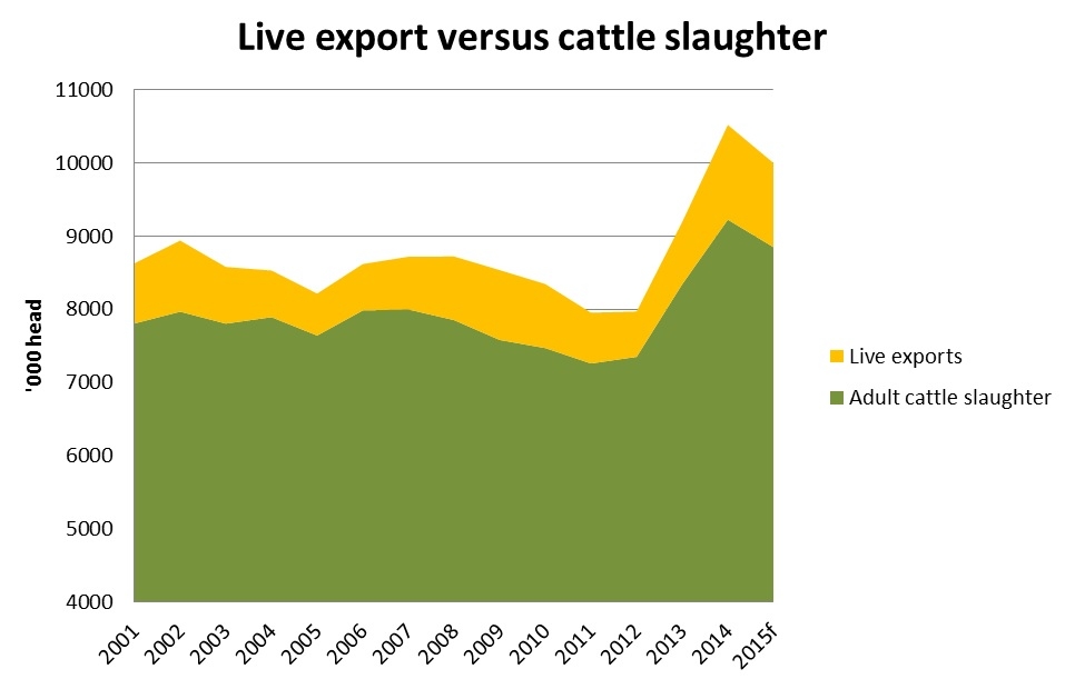 Live-export-versus-cattle-slaughter.jpg