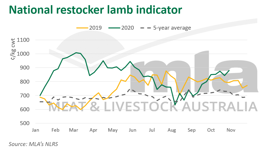 Nat-restocker-lamb-ind-051120.png