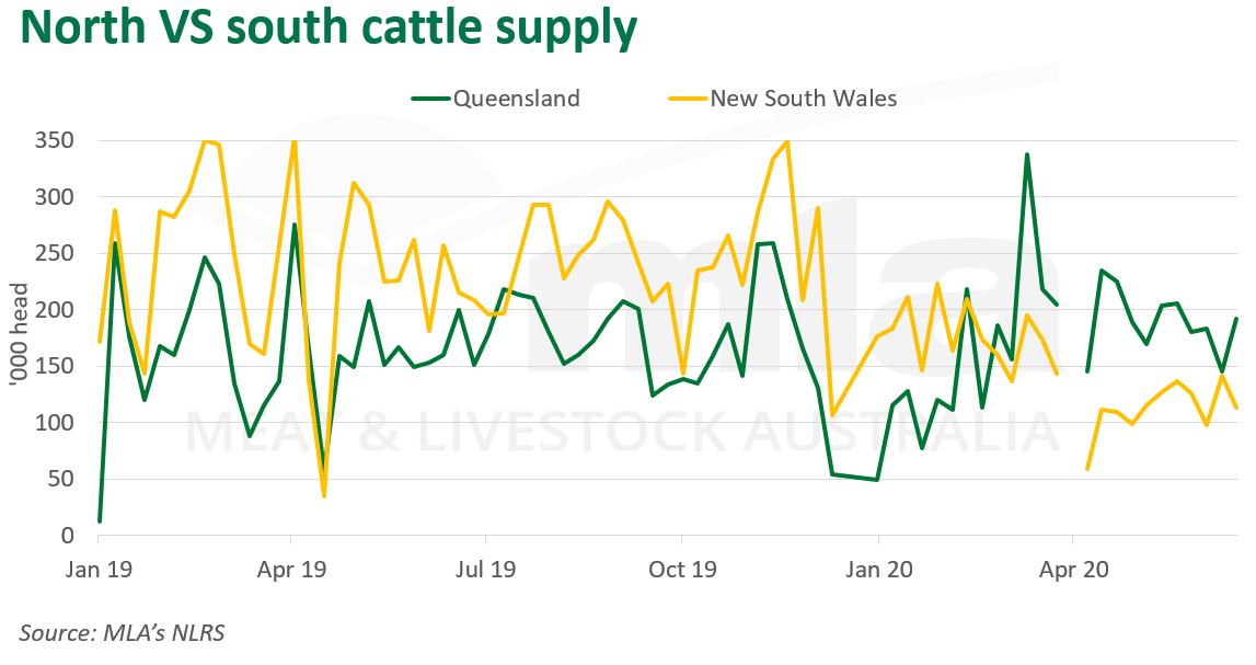Nth-vs-Sth-cattle-supply-020720.png