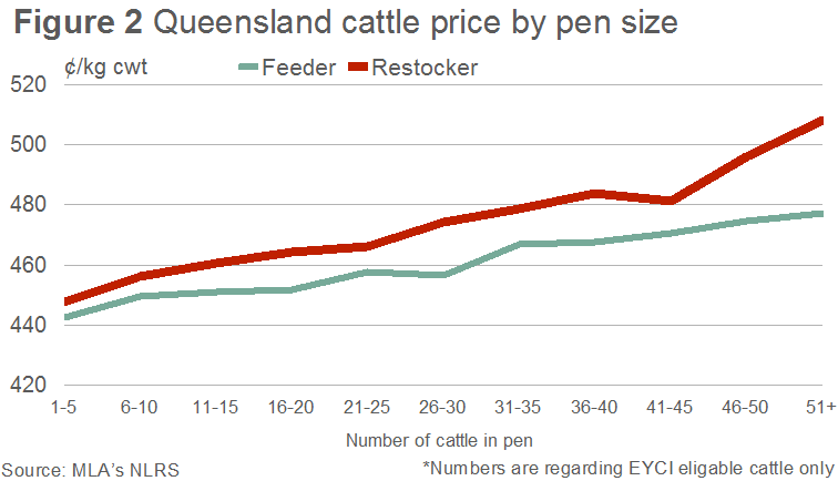 QLD-cattle-price-by-pen-size.bmp