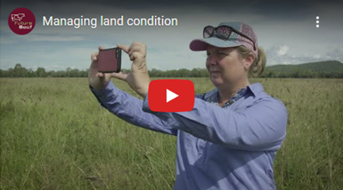 FutureBeef: Managing land condition